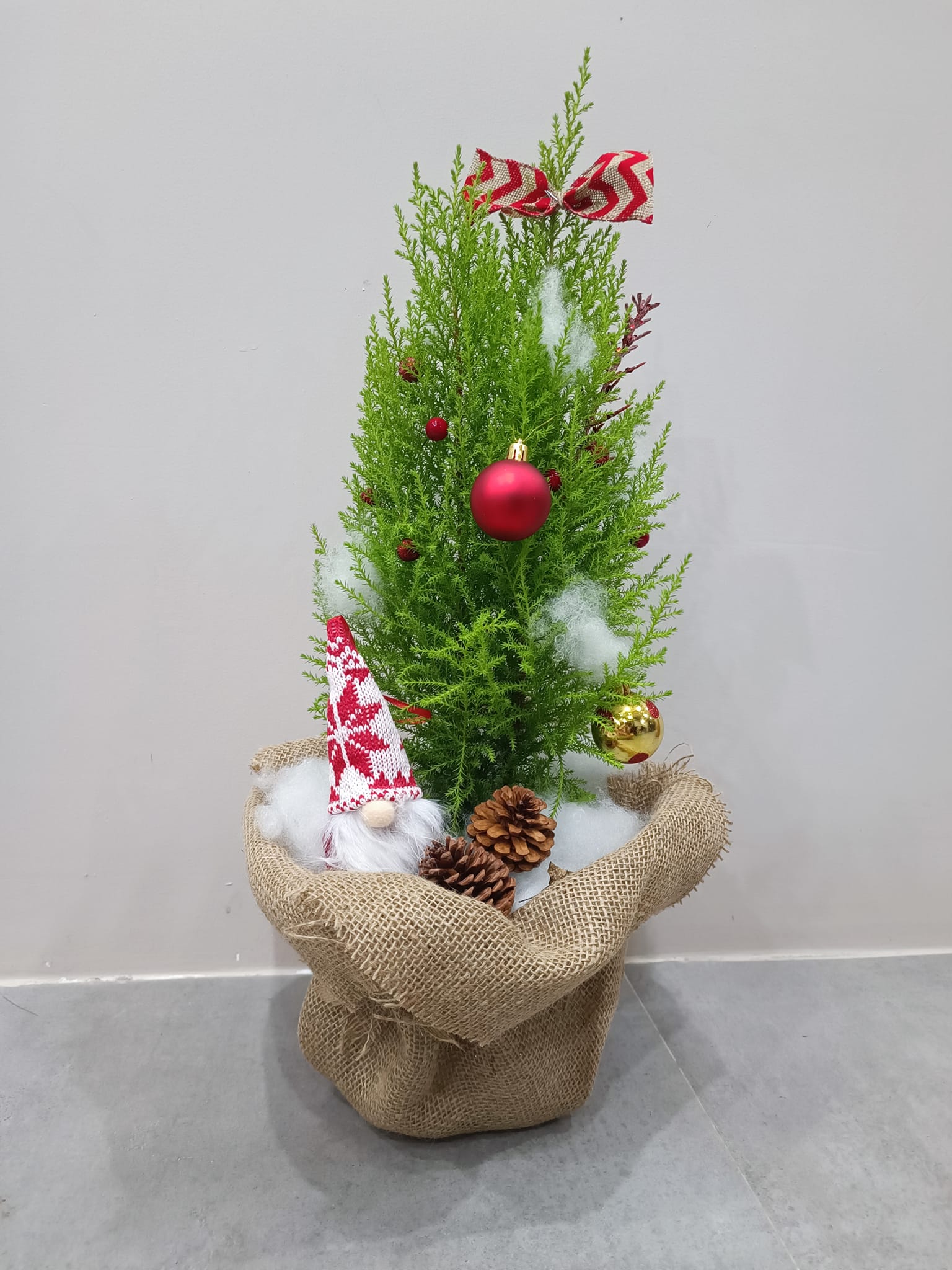 Osaka Entry Tee Superdry