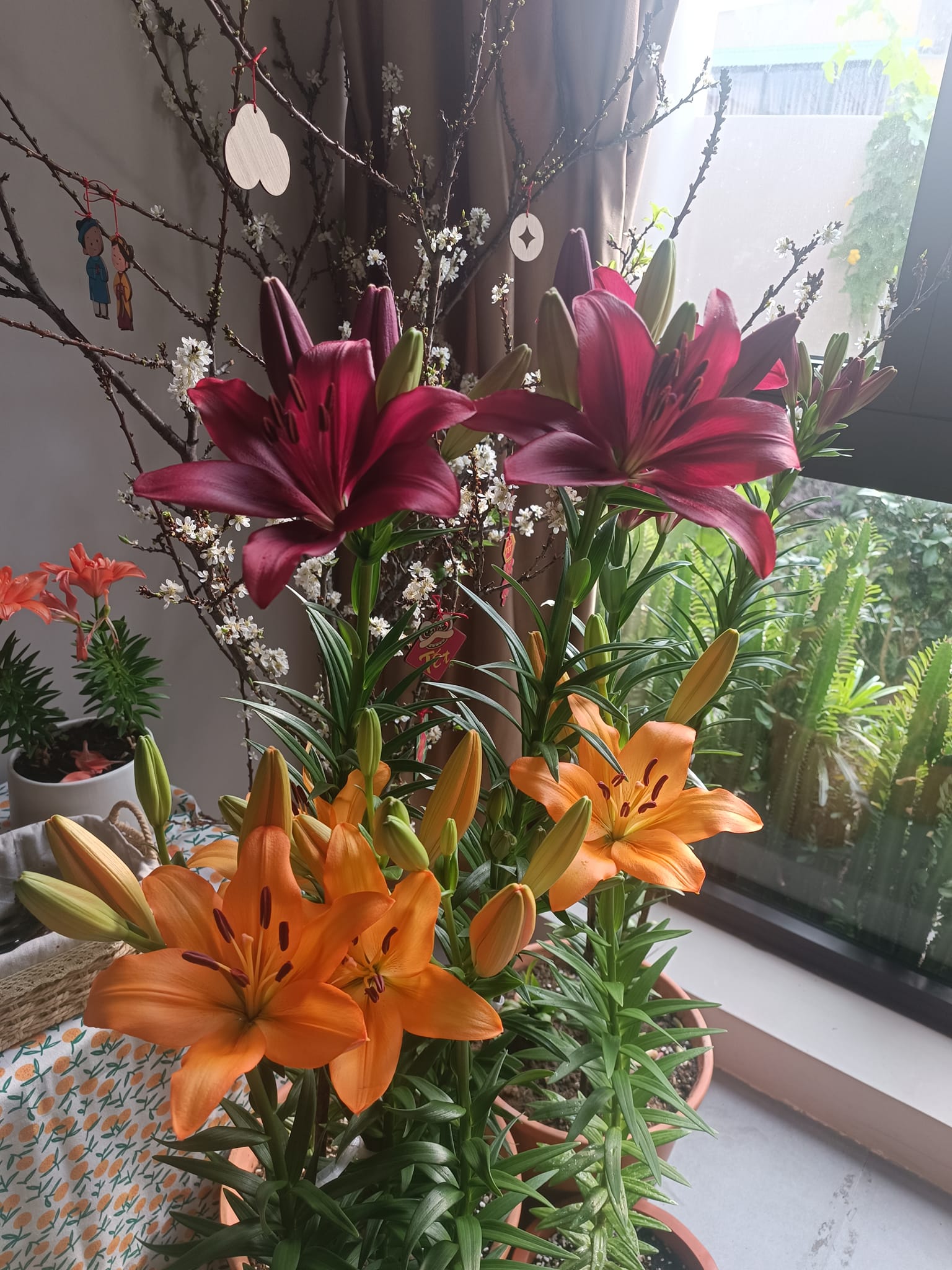 Varanise CN Tee Hilfiger Denim