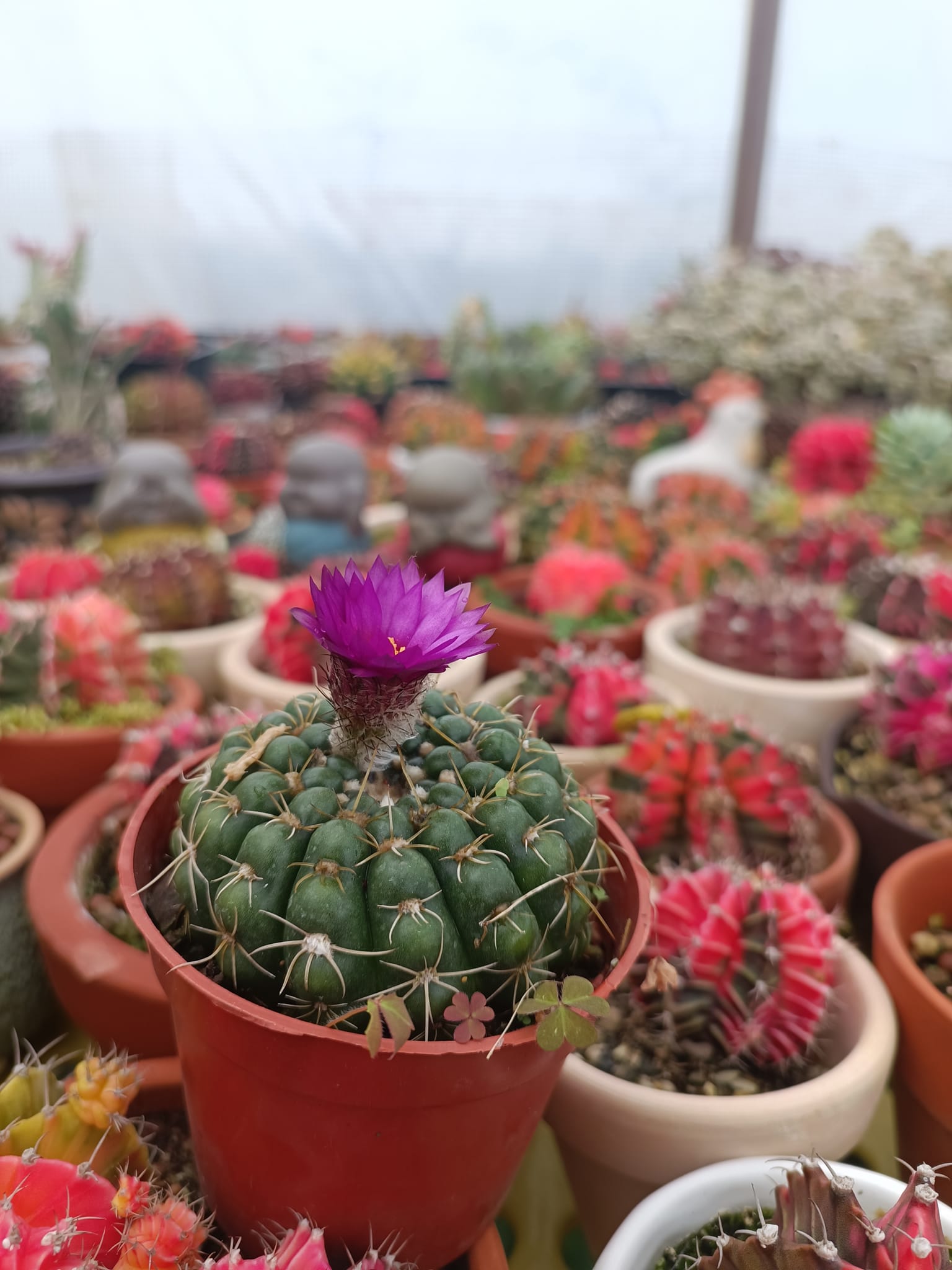 Weekend in San Fransico